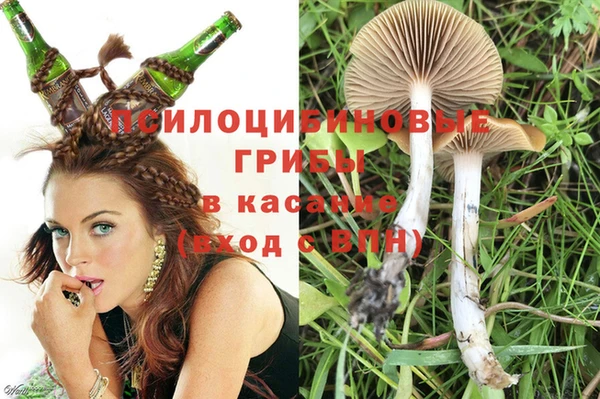 МДПВ Бугульма