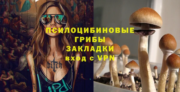 МДПВ Бугульма
