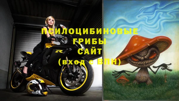 МДПВ Бугульма
