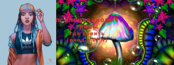 МДПВ Бугульма