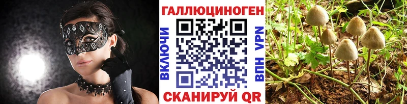 Галлюциногенные грибы ЛСД  Можайск 